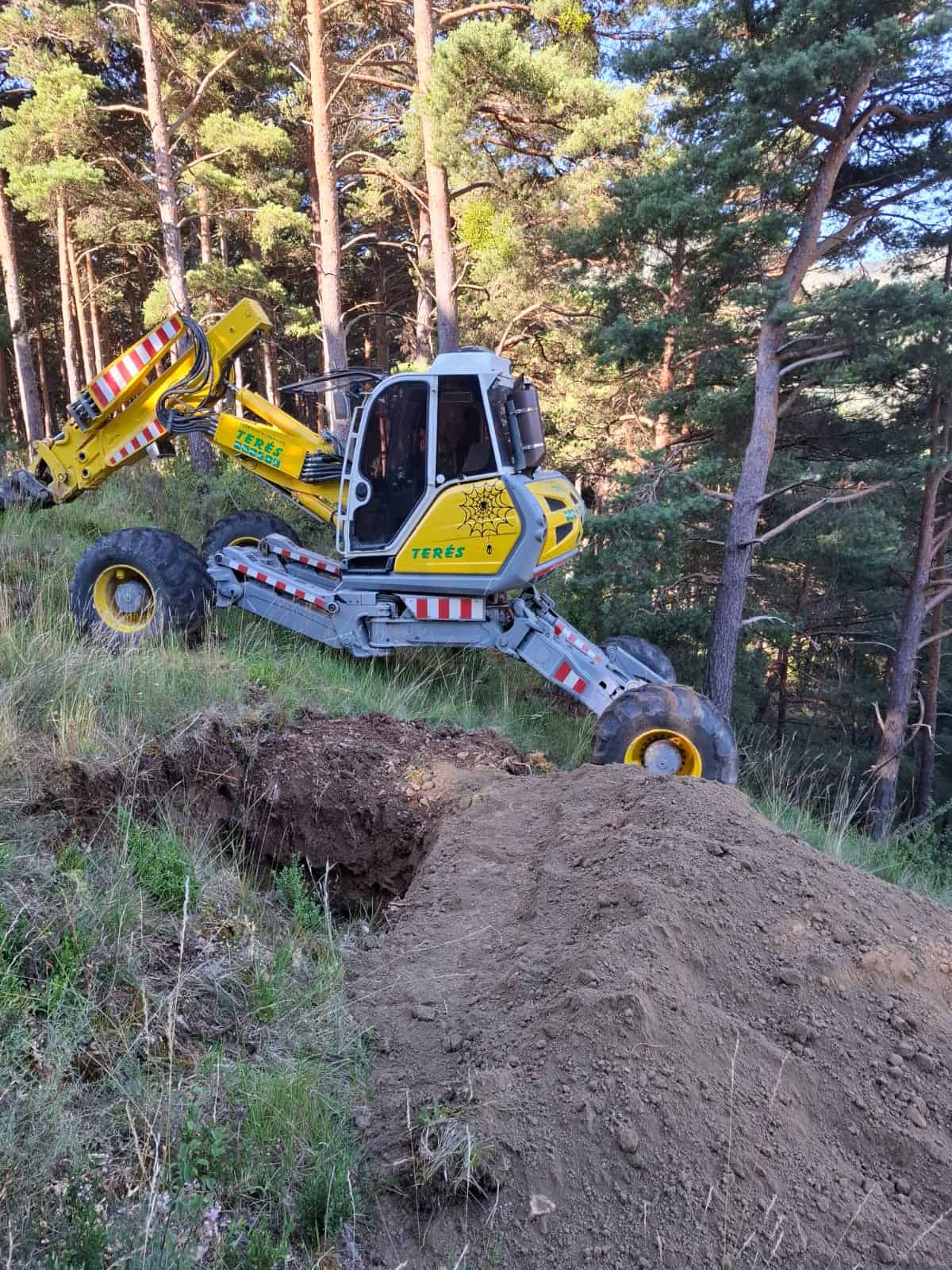 Excavadora trabajando en un terreno forestal, servicios de construcción y obras rurales, maquinaria pesada para movimiento de tierra, trabajo en naturaleza, servicio de demolición y excavación.