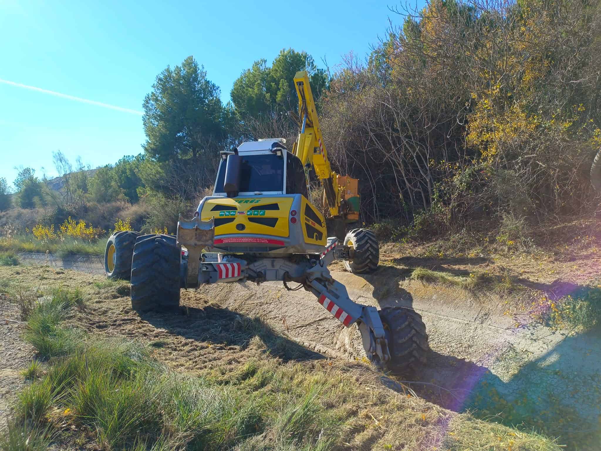 ARAÑA 7